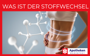 Stoffwechsel – Was ist das?